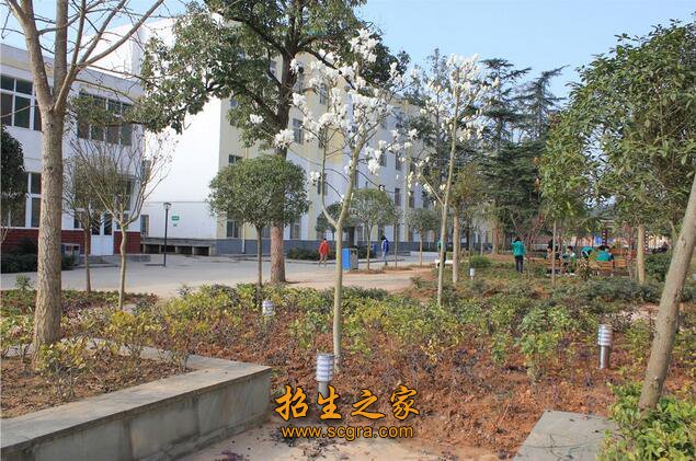 學校 環(huán)境