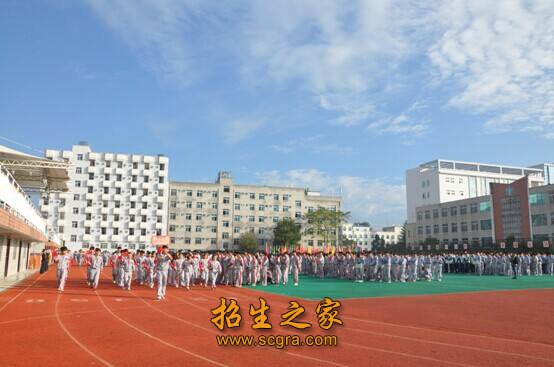 學(xué)?；顒?dòng)