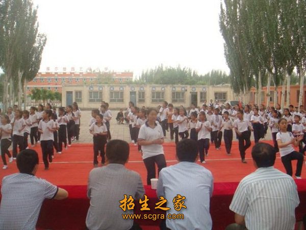 學(xué)?；顒?dòng)