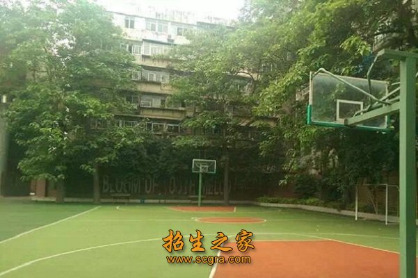 學(xué)校操場(chǎng)