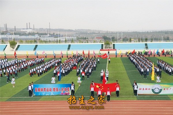 學(xué)?；顒?dòng)