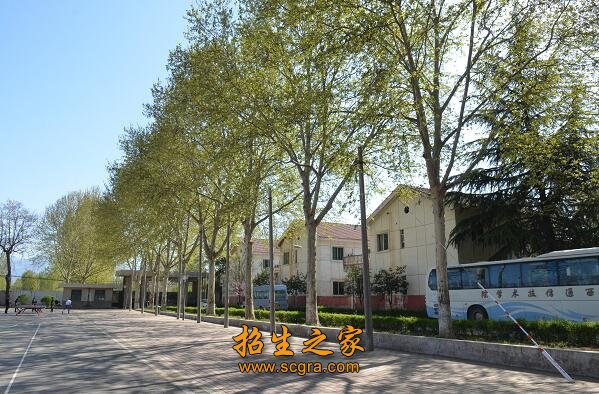 學(xué)校操場(chǎng)