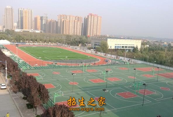 學(xué)校操場(chǎng)