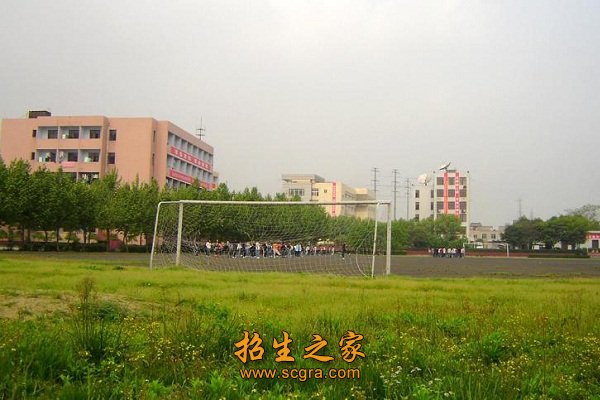 運(yùn)動(dòng)場地