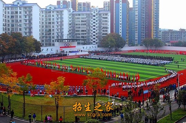 學(xué)?；顒?dòng)