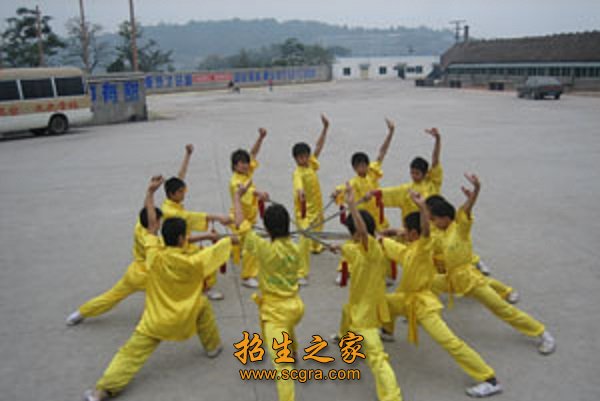 學(xué)生武藝表演