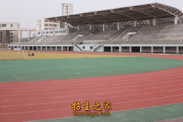 學(xué)校操場(chǎng)