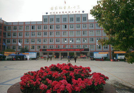 四川省樂至縣高級職業(yè)中學