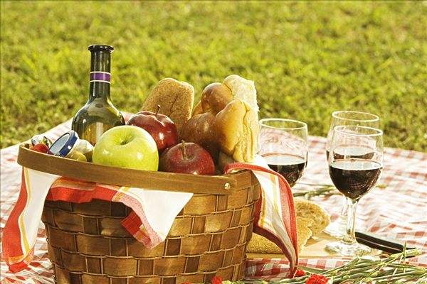 營養(yǎng)學專業(yè)