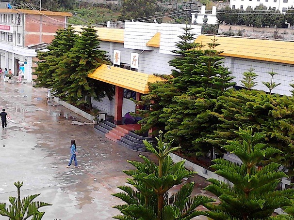 保山中醫(yī)藥高等?？茖W校