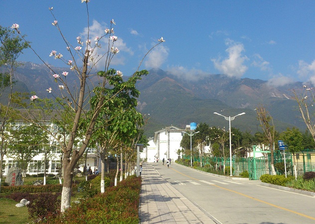 大理農林職業(yè)技術學院