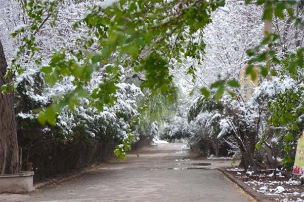 甘肅金城理工中等專業(yè)學校