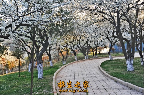 云南農(nóng)業(yè)職業(yè)技術(shù)學(xué)院2018年招生簡(jiǎn)章