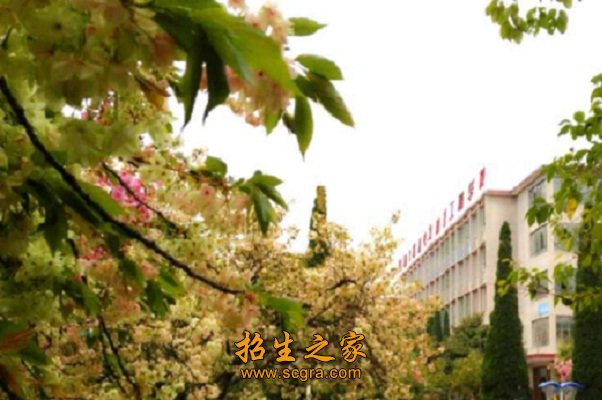 四川水利水電技師學院的就業(yè)有什么保障有什么助學政策