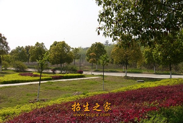 隨州職業(yè)技術學院