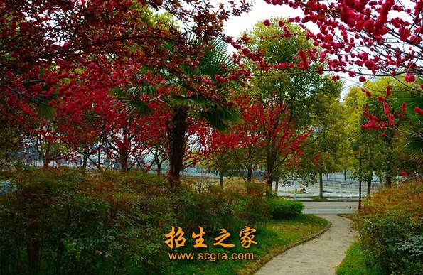 學(xué)校環(huán)境