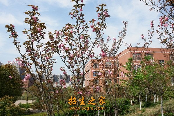 學(xué)校環(huán)境