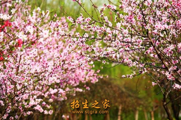 常州機電職業(yè)技術學院