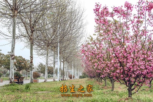 江蘇財(cái)經(jīng)職業(yè)技術(shù)學(xué)院