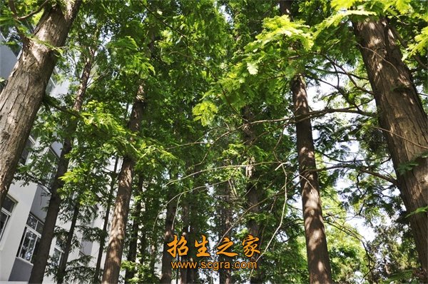 江蘇食品藥品技術(shù)學院