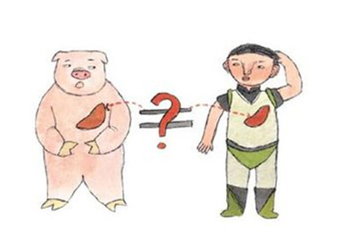 關(guān)于醫(yī)學(xué)專業(yè)，你都了解哪些?