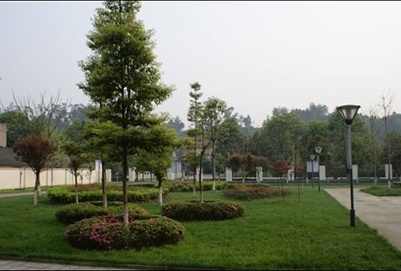 四川省蒲江縣職業(yè)中專學(xué)校地址在哪里?