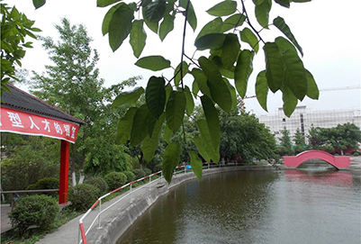 2020年綿陽市職業(yè)技術學校招生辦聯系電話