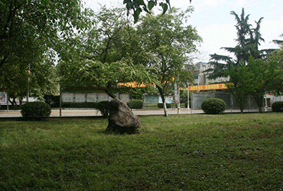 綿陽市服裝職業(yè)技術(shù)學(xué)校2020年招生計(jì)劃