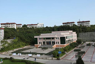 四川幼兒師范高等?？茖W(xué)校2020年招生計(jì)劃