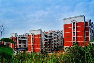 四川中醫(yī)藥高等?？茖W(xué)校2020年招生計(jì)劃