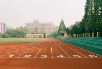 成都思達(dá)迪職業(yè)技術(shù)學(xué)校2020年招生計(jì)劃