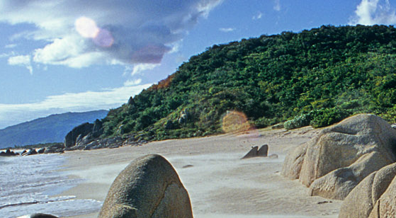 成都五月花高級技工職業(yè)學校,專業(yè)