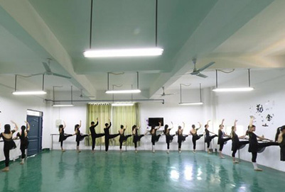 四川省江安縣職業(yè)技術(shù)學(xué)校形體教室