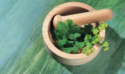 中醫(yī)學-中醫(yī)藥材