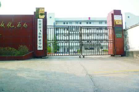 自貢市飛魚職業(yè)學(xué)校