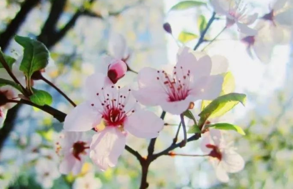 成都現(xiàn)代職業(yè)學(xué)校