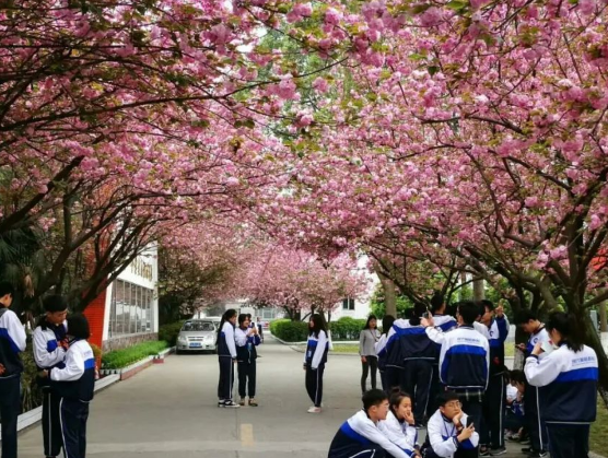 成都現(xiàn)代職業(yè)學(xué)校