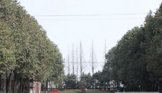 成都華西衛(wèi)校青羊校區(qū) 成都華西衛(wèi)校青羊校區(qū)