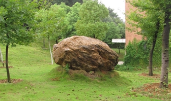 通江衛(wèi)校2020招生簡介及計劃