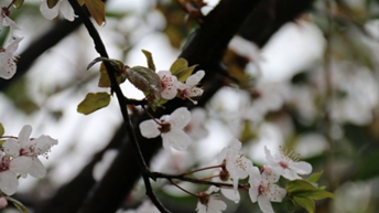 廣元職工醫(yī)學(xué)院護(hù)理專業(yè)