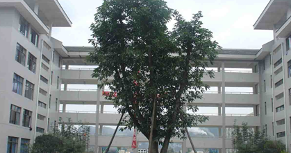 雅安職業(yè)技術(shù)學(xué)院 校園環(huán)境