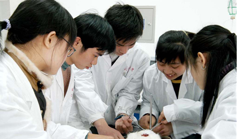 （川北醫(yī)學(xué)院）教學(xué)活動(dòng)