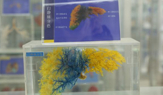 四川護(hù)理職業(yè)學(xué)院校園環(huán)境