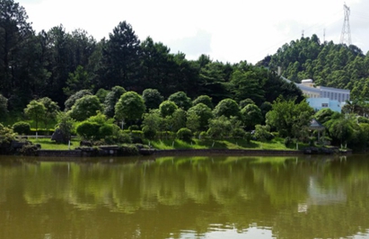 成都市商洛衛(wèi)生學(xué)校2020有哪些專業(yè)及什么專業(yè)好