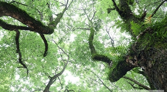 四川省質(zhì)量技術(shù)監(jiān)督學(xué)校