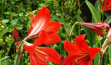 廣元職工醫(yī)學(xué)院宿舍條件及圖片