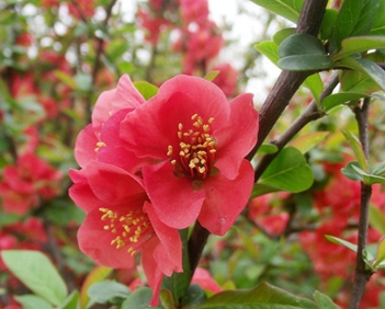 四川省宜賓衛(wèi)生學(xué)校2020招生辦電話及聯(lián)系方式