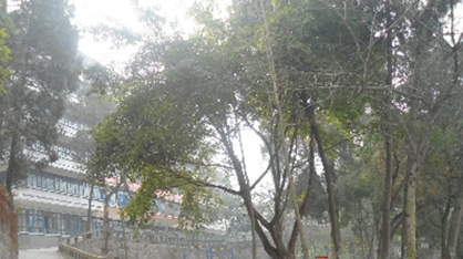 四川省法商專修學(xué)院2020招生辦電話及聯(lián)系方式