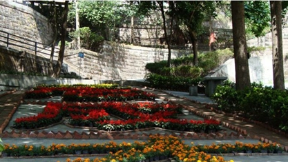 四川省法商專修學(xué)院2020報(bào)名時(shí)間及報(bào)名方式