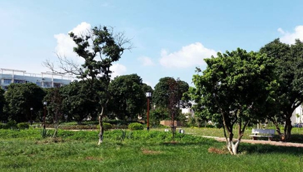 成都市商洛衛(wèi)生學(xué)校2020招生辦電話及聯(lián)系方式